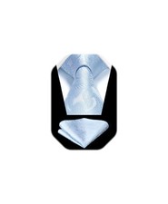 Men's Paisley Tie Solid Handkerchief Floral Necktie Pocket Square Set