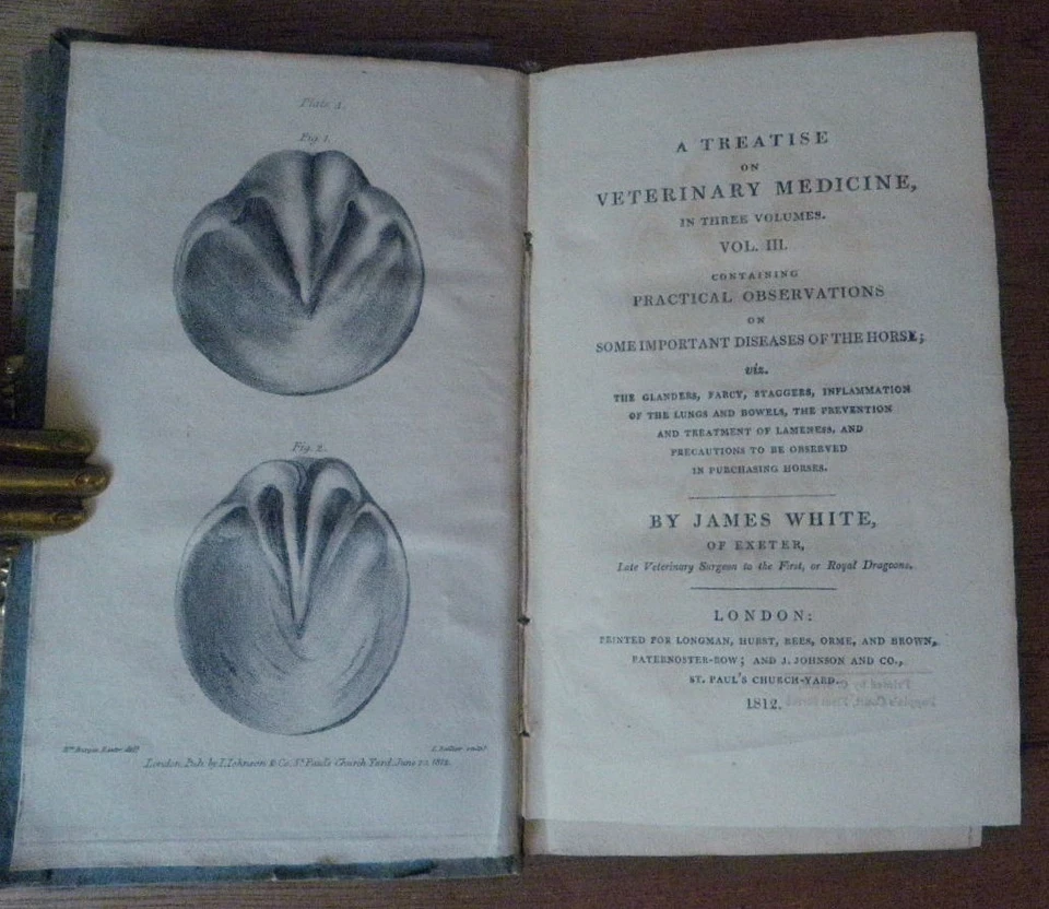 VETERINARY MEDICINE & MATERIA MEDICA James White 1812 Equine Remedies Horseshoes Foto 2 de 4