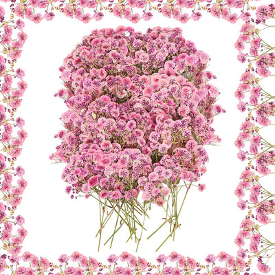 100 Stück Getrocknete Blumen Baby s Breath Echte Natur Schleierkraut DIY Kerze