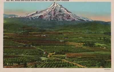 Mt. Hood Hood Hood River Valley Hood Loop Oregon White Border Vintage Postcard