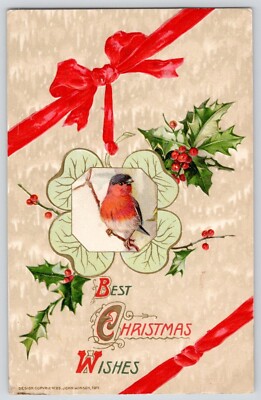 1911 House Finch Best Christmas Wises Postcard Winsch 