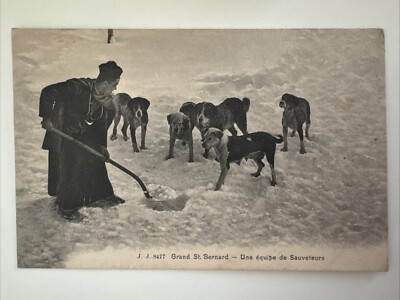 Antike viktorianische Postkarte zeigt die Hunde von Grand Saint-Bernard