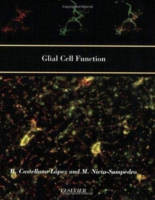 GLIAL CELL FUNCTION () (PROGRESS IN BRAIN RESEARCH) By Castellano B. Lopez & M.