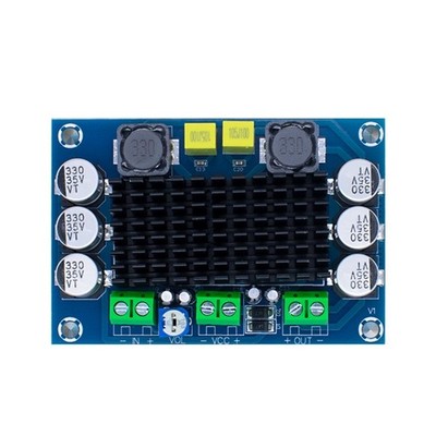 Efficient 100W Mono Auditory Amplifier Circuit Board With Aluminum Heat Sink