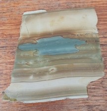 Owyhee Cripple Creek Picture Jasper Slab Cabbing Rough MAKE OFFER