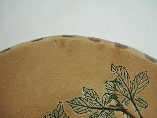 Nuevo Plato Forest Pottery 6" Blackberry Estilo Mayólica Reino Unido - Imagen 2 de 4