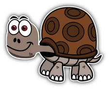 Turtle Cartoon Car Bumper Sticker Decal