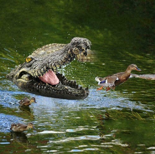 Krokodil Kopf Garten Teich Feature Reptil Tier Ornament Skulptur Schwimm DE - Bild 2 von 17