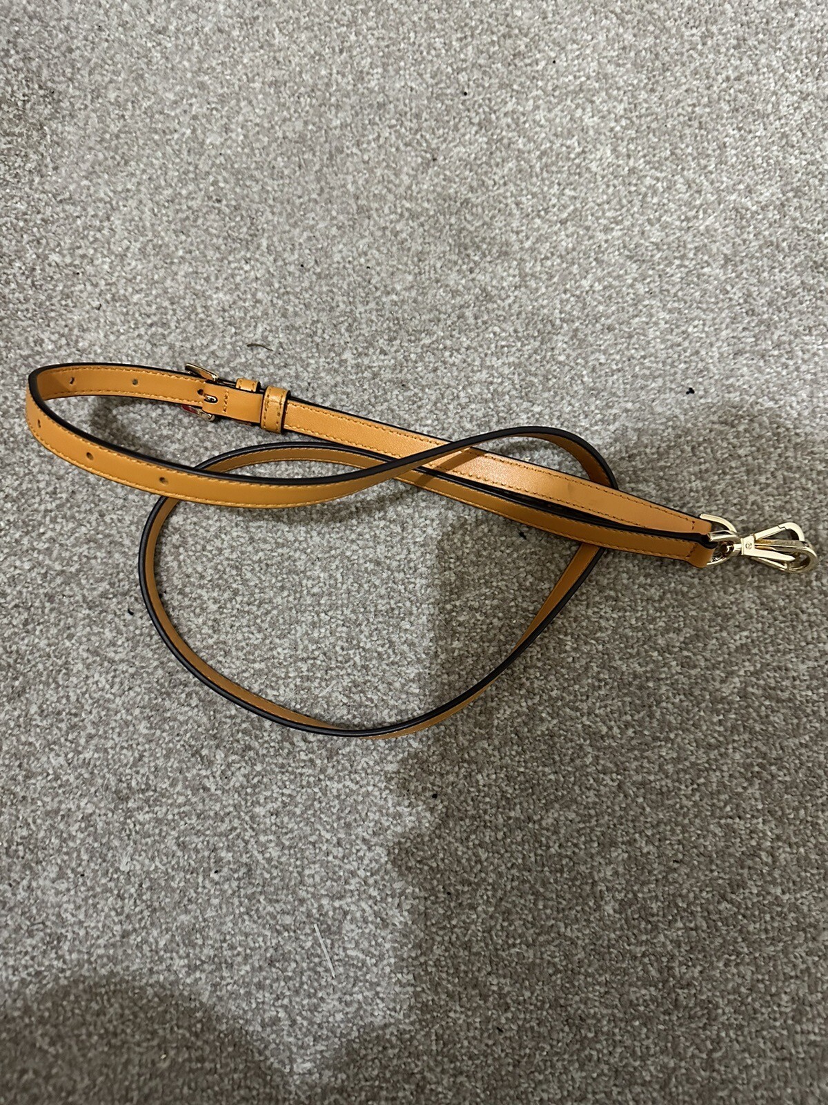 Picture 4 of 5