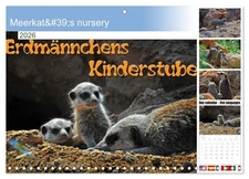 Meerkat's nursery (Monthly Wall Calendar 2026 11.7 x 16.5 (open)), CALVENDO 14 M