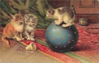 CATS - Cats and Circus, 1900 Illustrated Card (1008)