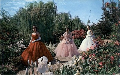 Jackson MS Southern Belles in Gardens c1950s-60s Vintage Postcard