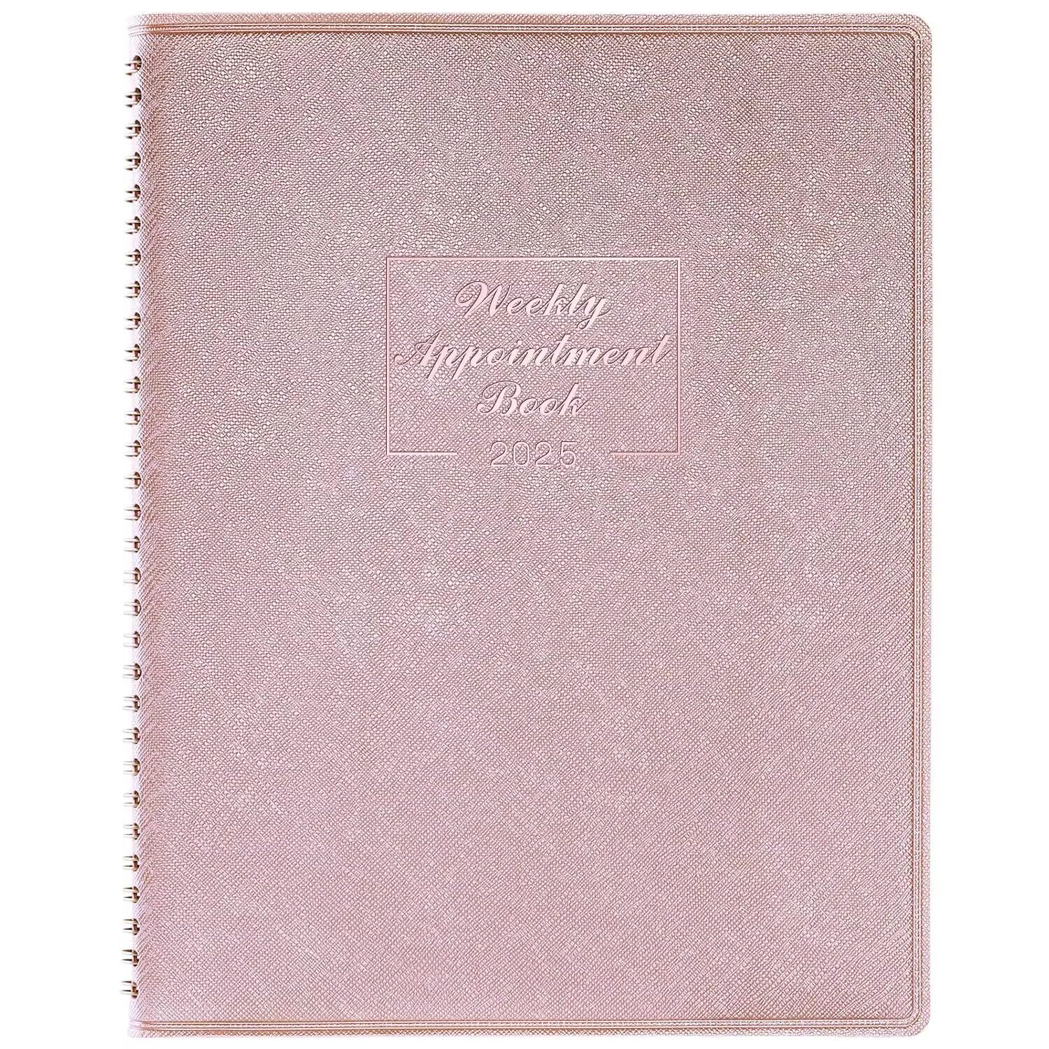 2025 Weekly Appointment Book - JAN 2025 - DEC 2025 Daily Hourly Planner 2025 ...