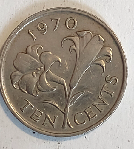 Moneta da 10 centesimi Bermuda Elisabetta II vintage 1970