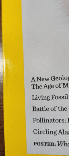 National Geographic Vol. 219 No. 3 Designing The Perfect Pet Magazine March 2011 - Picture 4 of 8
