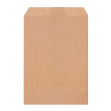 100 Pack 6x9 Inch Flat Kraft Paper Bags Merchandise Party Favor Treat Bags