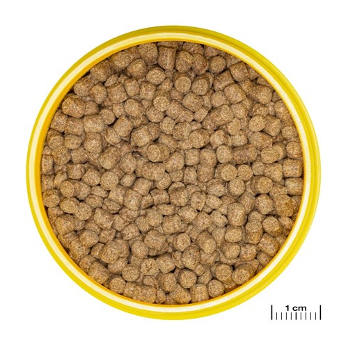 JBL ProNovo Lotl Grano M 250ml - Hauptfutter-Granulat für Axolotl 8-20 cm - Bild 2 von 9