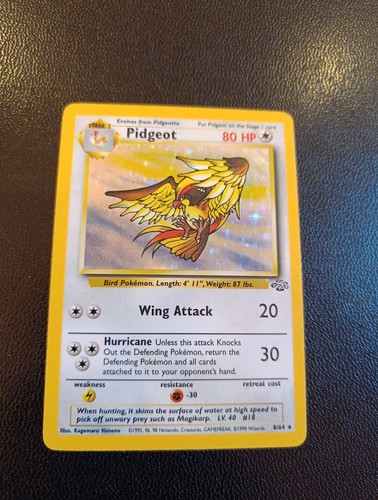 Pidgeot — Jungle
