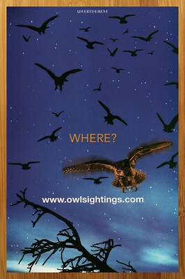 2002 Owl Sightings Vintage Print Ad/Poster Internet Website Wildlife Pop Art 00s