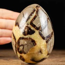 Natural Septarian Dragon Quartz Crystal Geode Egg Stone Collector 200-300g 1 PCS