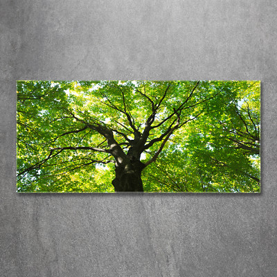 Glas-Bild Wandbilder Druck auf Glas 120x60 Deko Blumen & Pflanzen Grüner Wald