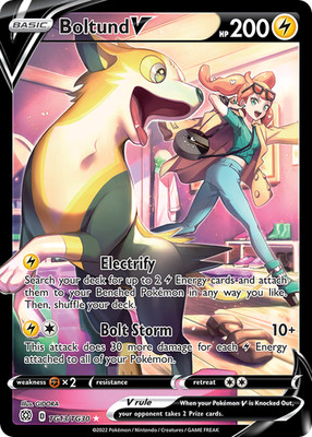 Boltund V TG13/TG30 Holo Brilliant Stars Trainer Gallery Pokemon Holo NM/M