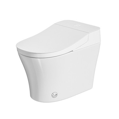 Smart Toilet Bidet with Auto Open Close Heated Seat & Warm Water Sprayer