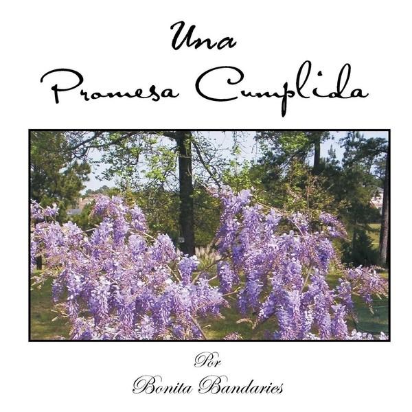 Bonita Bandaries | Una Promesa Cumplida | Taschenbuch | Englisch (2013)-image