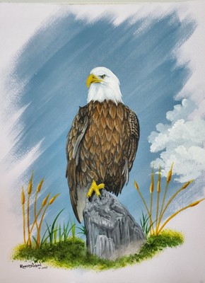 American Bold Eagle 
