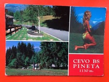 09152 Cartolina Cevo (BS) Pineta
