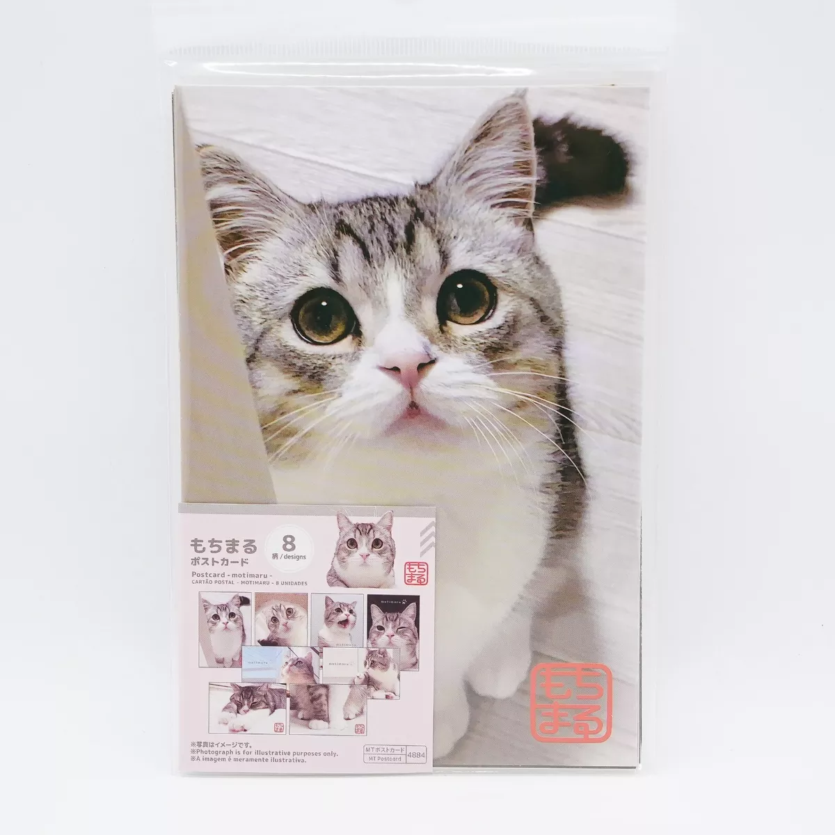 Sakamoto Cat from Nichijou Postcard for Sale by pamakima