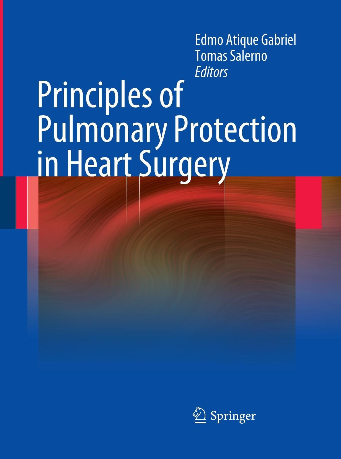 Thumbnail - Tomas Salerno (u. A.) | Principles Of Pulmonary Protection In Heart