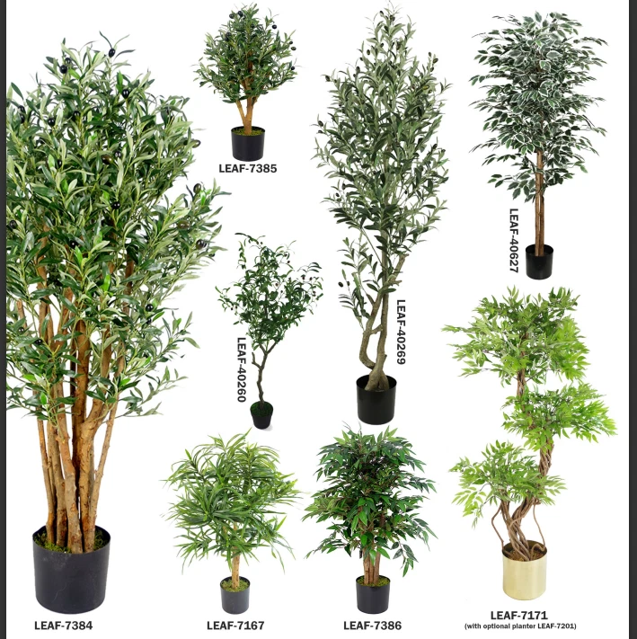 Pianta Artificiale Ficus Tabacco 180 Cm – Italia - Foto 10