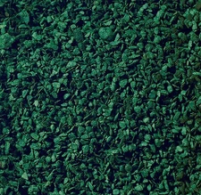 Noch 7146 Dark Green Leaves 1-3/4 Oz. 50 Gr.