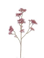 Artplants Deko Zweig Hartriegel Karolina, Rosa, 70Cm
