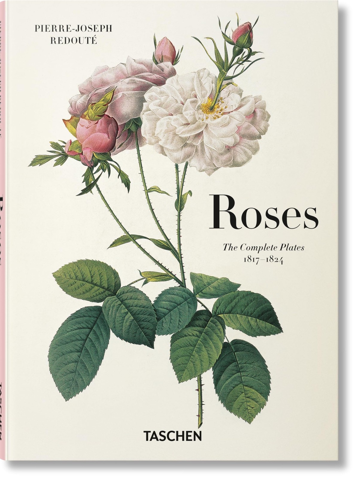 Redouté. Roses by H. Walter Lack NEW Free UK Delivery - Image 5