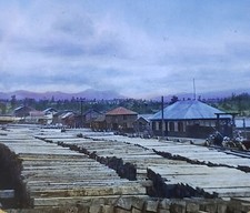 A Lumberyard in Southern Chile, c1920's, Magic Lantern Glass Slide