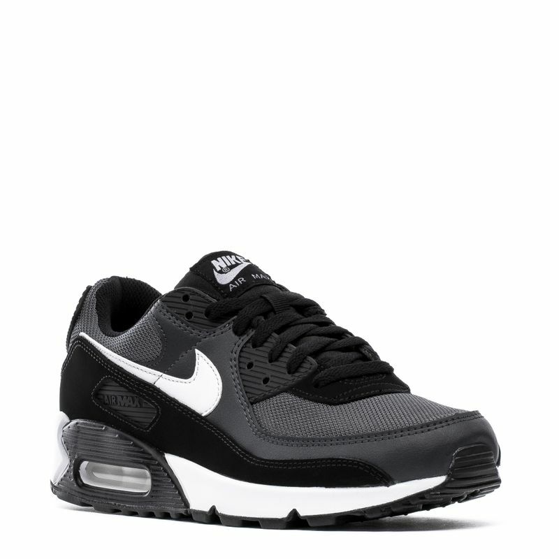 AUTHENTIC NIKE AIR MAX 90 Iron Smoke 