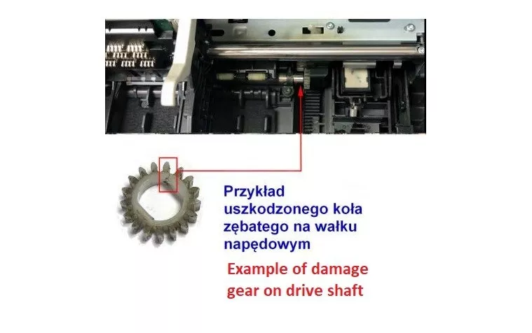 Foto 2 di 2