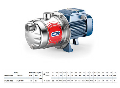 Elektro Pumpe Pedrollo 5CRm 100 1,25 HP Zentrifuge Mehrstufige Geräuscharm 230 V