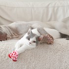 Foto 3 di 12