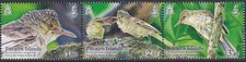 Pitcairn Islands 2019 - Pitcairn Reed Warbler - Strip of 3 - MNH