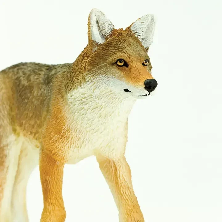 25+ Coyote Collectibles for sale | Updated Oct 2026