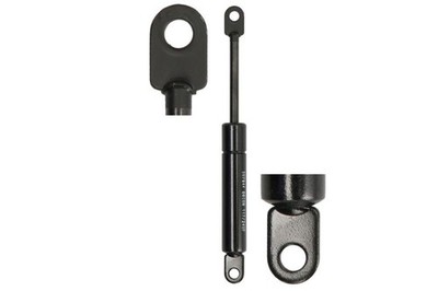 Universal Gas Spring