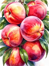 Tile Mural Peach Fruit Still Life Kitchen Shower Wall Backsplash Marble Ceramic