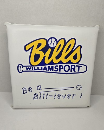 Cojín de asiento de ligas menores de colección Williamsport Bills béisbol raro coleccionable - Imagen 2 de 17