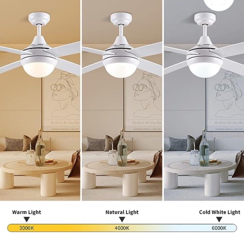CJOY CEILING LAMP WITH FAN REVERSIBLE Fan Light Ceiling 48'' White