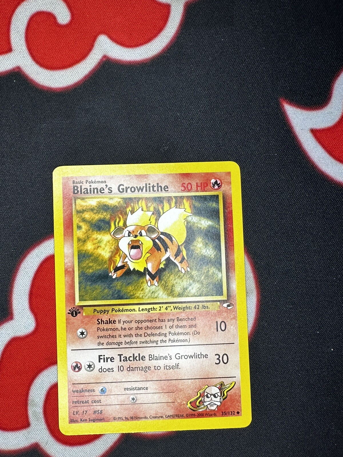 Pokémon TCG Blaine's Growlithe Gym Heroes 35/132 Regular 1st Edition NM