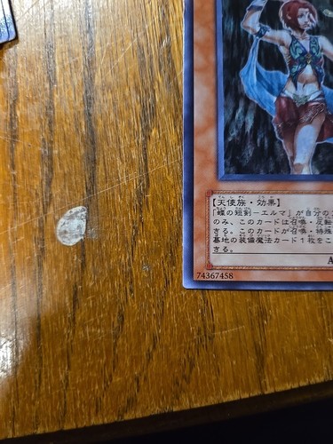 304-005(*) - Yugioh - Japonés - Guardian Elma - Común - Imagen 4 de 6