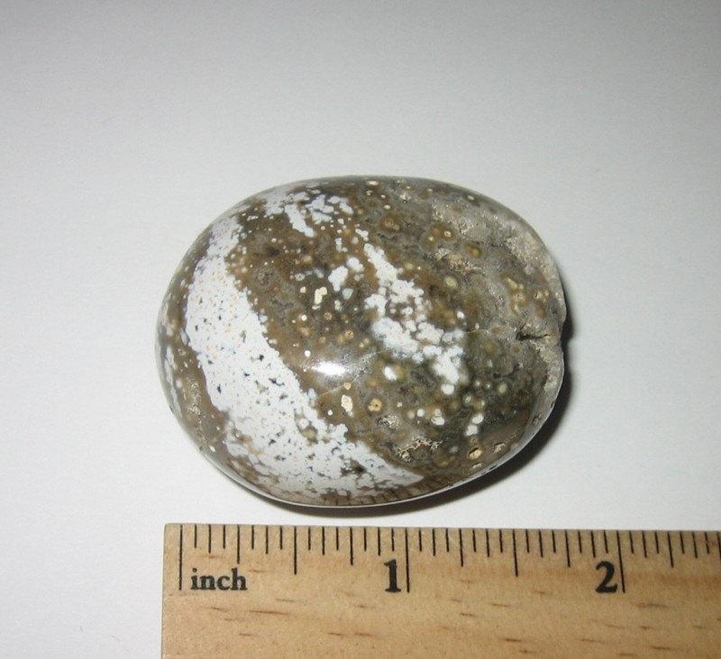 1.5" BEAUTIFUL TUMBLED POLISHED NATURAL OCEAN JASPER PALM STONE MINERAL  71grams